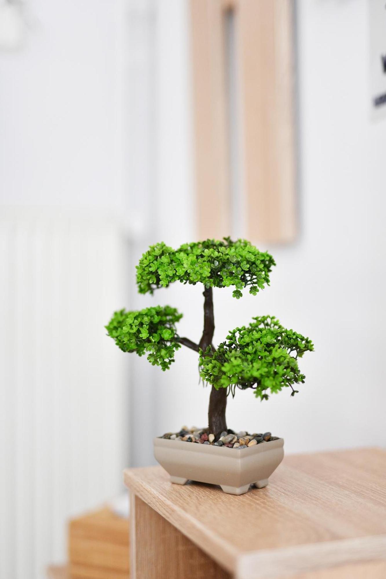 Nemapartment 雅典 外观 照片